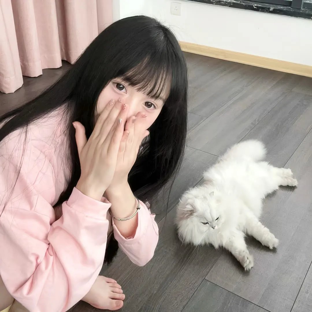 明日传奇第五季 在线观看